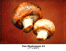 Two Mushrooms1