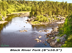 Black River Fork 7x10