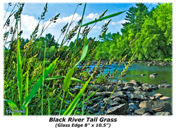 Black River Tall Grass (Glass Edge) 7x10