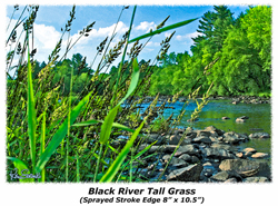 Black River Tall Grass (Sprayed Stroke Edge) 7x10