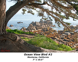 Ocean View Blvd 2 7' x 10