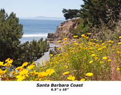 Santa Barbara Coast Thumbnail